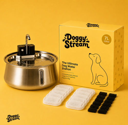 Wireless Water Doggy Stream